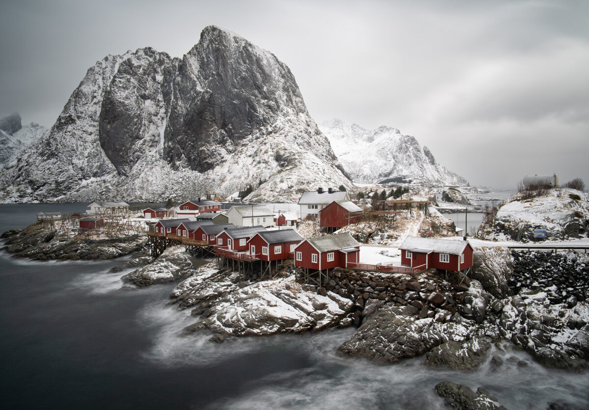 Å, Lofoten Islands Fishing Report 1st August 2022